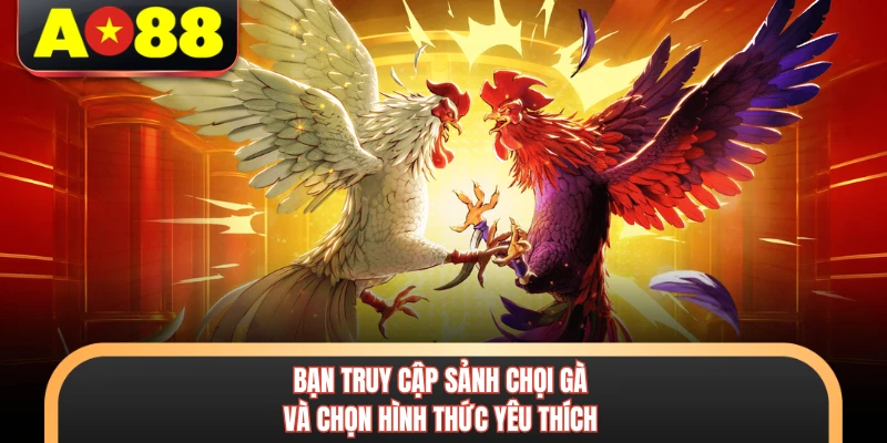 Bạn truy cập sảnh chọi gà và chọn hình thức yêu thích