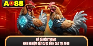 da ga don thomo kinh nghiem dat cuoc dinh cao tai ao88