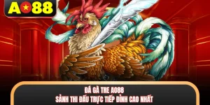 Đá Gà Tre AO88 - Sảnh Thi Đấu Trực Tiếp Đỉnh Cao Nhất