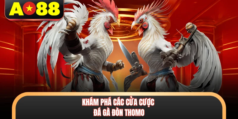 Khám phá các cửa cược đá gà đòn Thomo