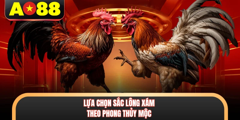 Lựa chọn sắc lông xám theo phong thủy Mộc