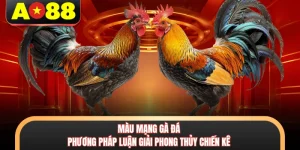 Màu Mạng Gà Đá - Phương Pháp Luận Giải Phong Thủy Chiến Kê