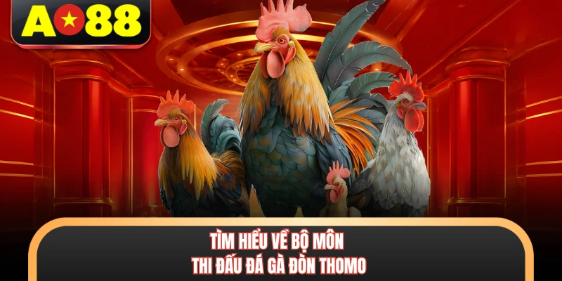 Tìm hiểu về bộ môn thi đấu đá gà đòn Thomo