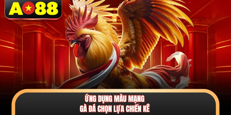 Ứng dụng màu mạng gà đá chọn lựa chiến kê